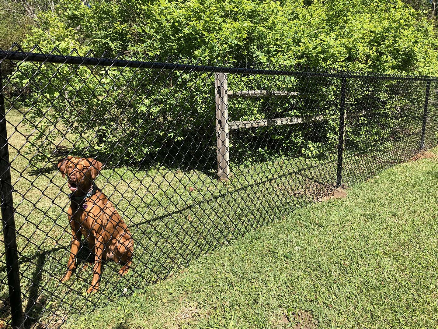 chain link fence Oneonta Alabama